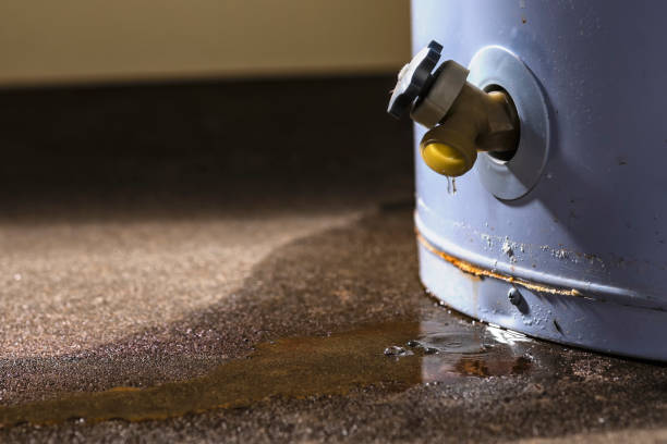 Best Ceiling water damage repair  in Millis Clicquot, MA