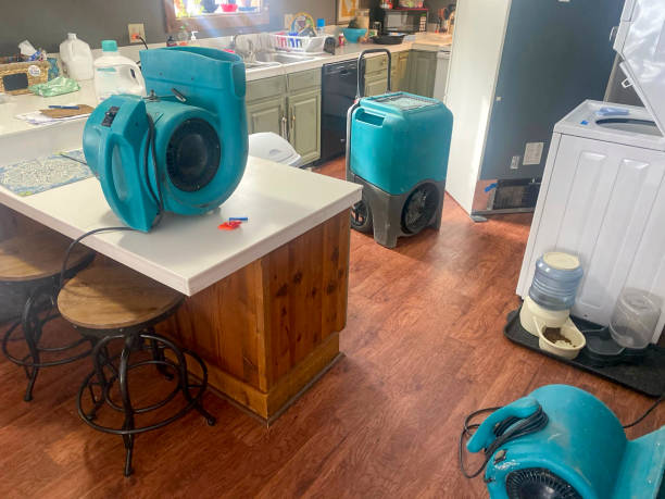 Best Mold removal after water damage  in Millis Clicquot, MA