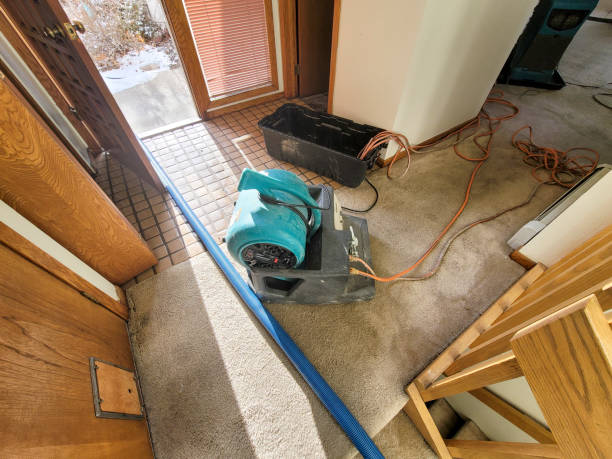 Best Ceiling water damage repair  in Millis Clicquot, MA