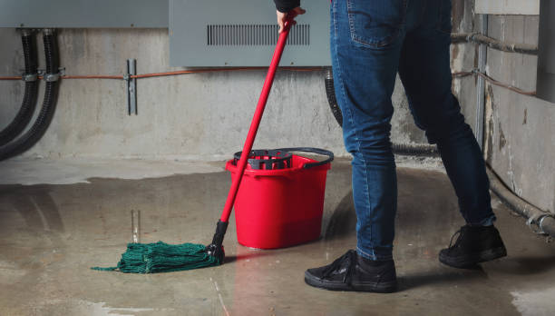 Trusted Millis Clicquot, MA Water damage restoration Experts