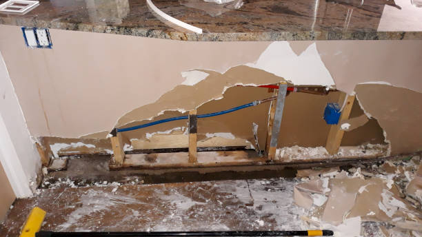 Best Water damage mitigation services  in Millis Clicquot, MA