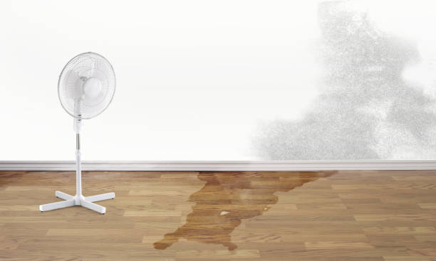 Best Water damage restoration near me  in Millis Clicquot, MA