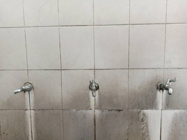 Best Water damage cleanup near me  in Millis Clicquot, MA