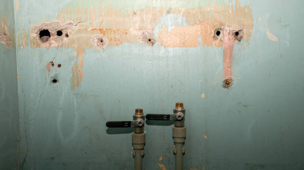 Best Basement water damage restoration  in Millis Clicquot, MA