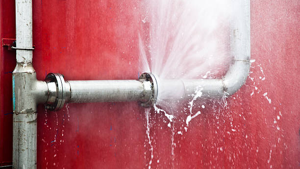 Best Professional water damage repair  in Millis Clicquot, MA